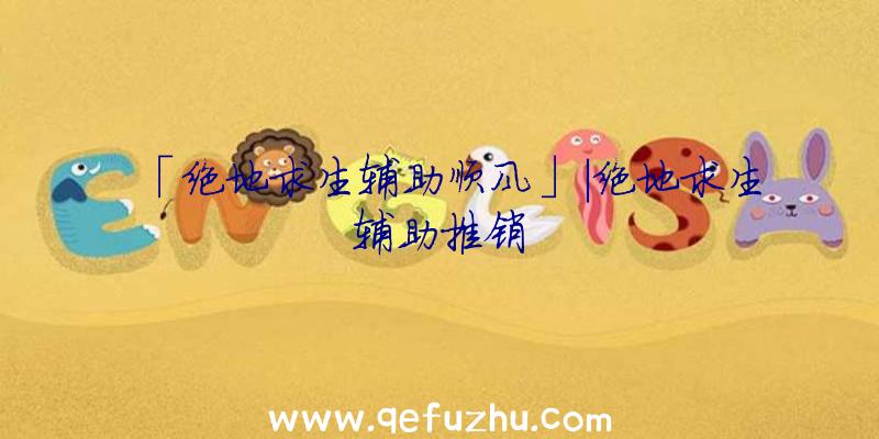 「绝地求生辅助顺风」|绝地求生辅助推销